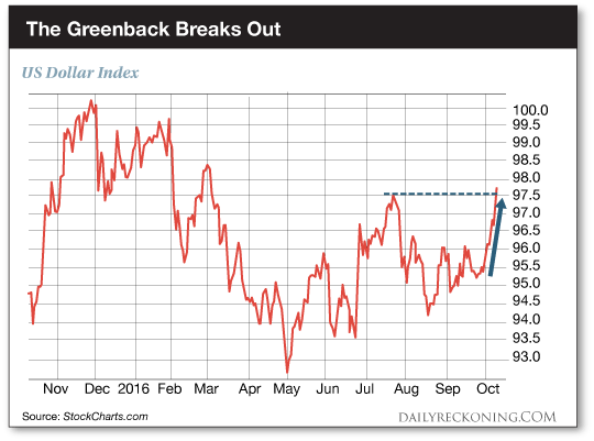 thegreenback-dr