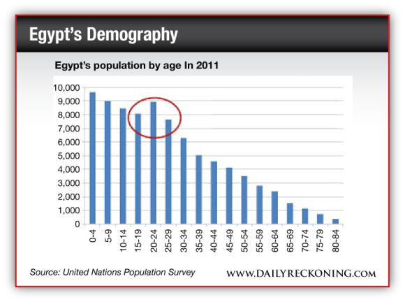 Egypt's population by age in 2011