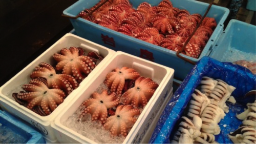 Octupus and squid on sale at the fish market