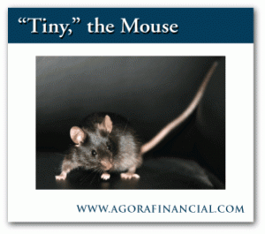 "Tiny" the Mouse