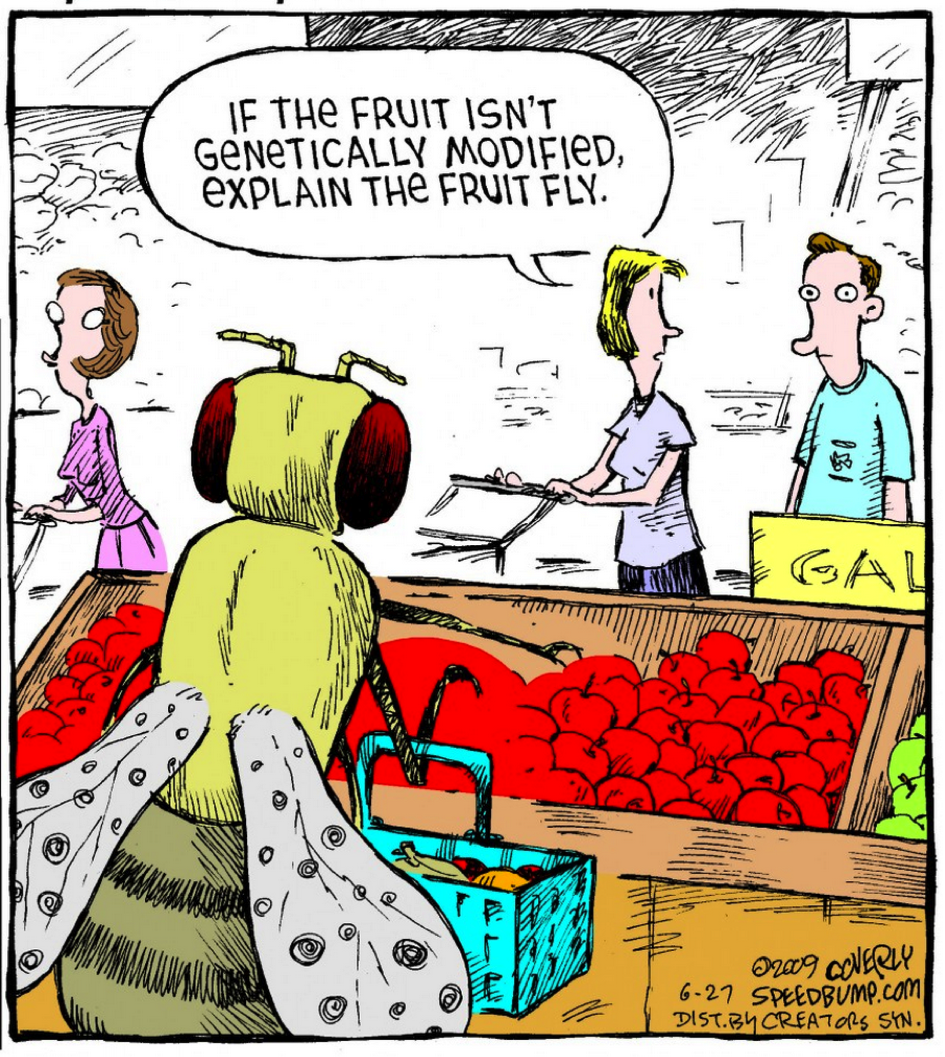 Fruit Fly GMO Cartoon - The Daily Reckoning