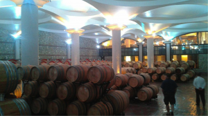 Wine Barrels Stobi