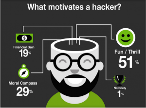 What Motivates a Hacker?