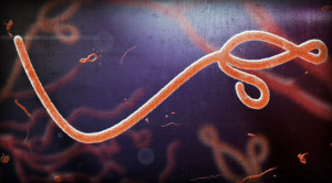 Ebola Lives on After Recovery