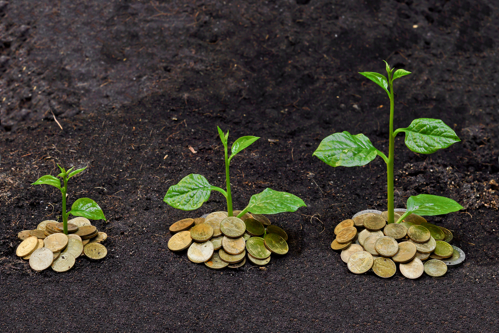 The Toxic Fruit Of Financialization Risk Is For Those At The Bottom The Daily Reckoning
