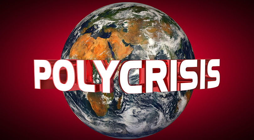 The Polycrisis - Daily Reckoning